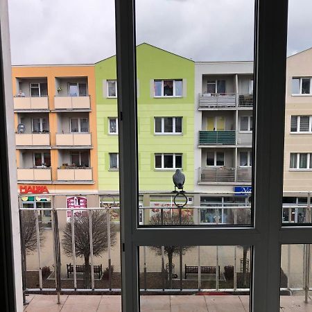 Apartament Kosciuszki Malbork Exterior foto